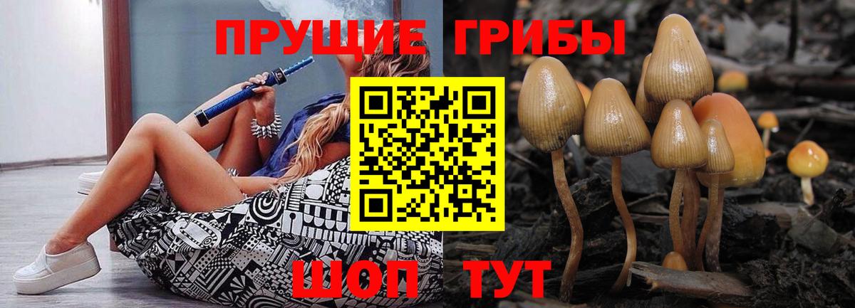 купить наркотик  Псилоцибиновые грибы Magic Shrooms  Феодосия  Вход с VPN  Псилоцибиновые грибы ЛСД 