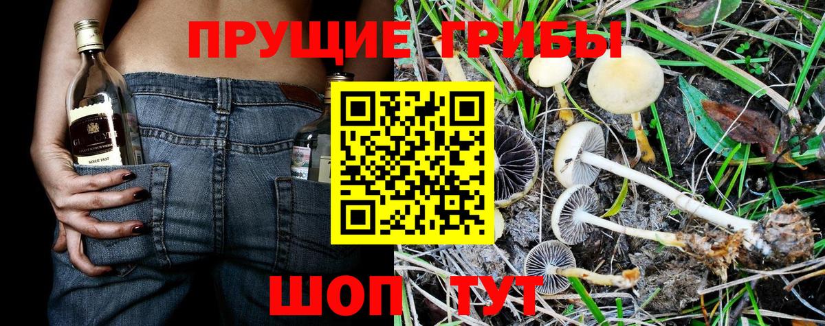 Псилоцибиновые грибы ЛСД Феодосия